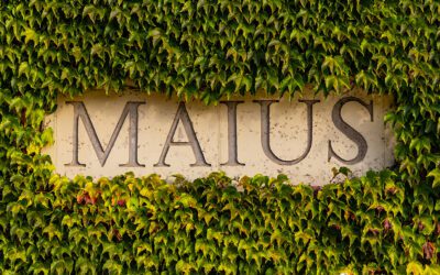 Maius: un nom arrelat al Priorat