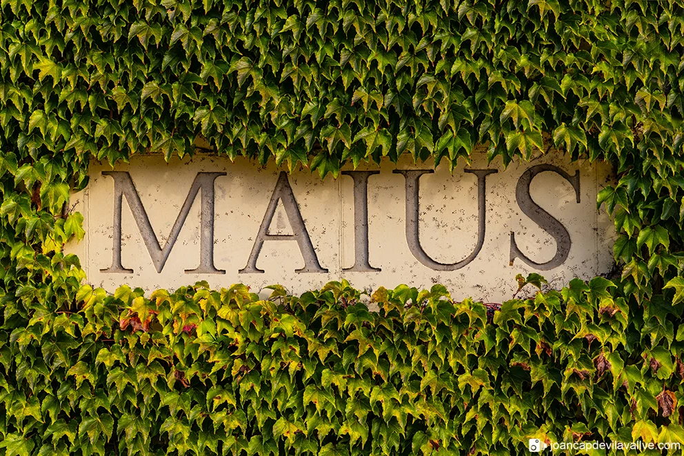 Maius: un nombre arraigado al Priorato