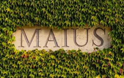 Maius: a name rooted in Priorat